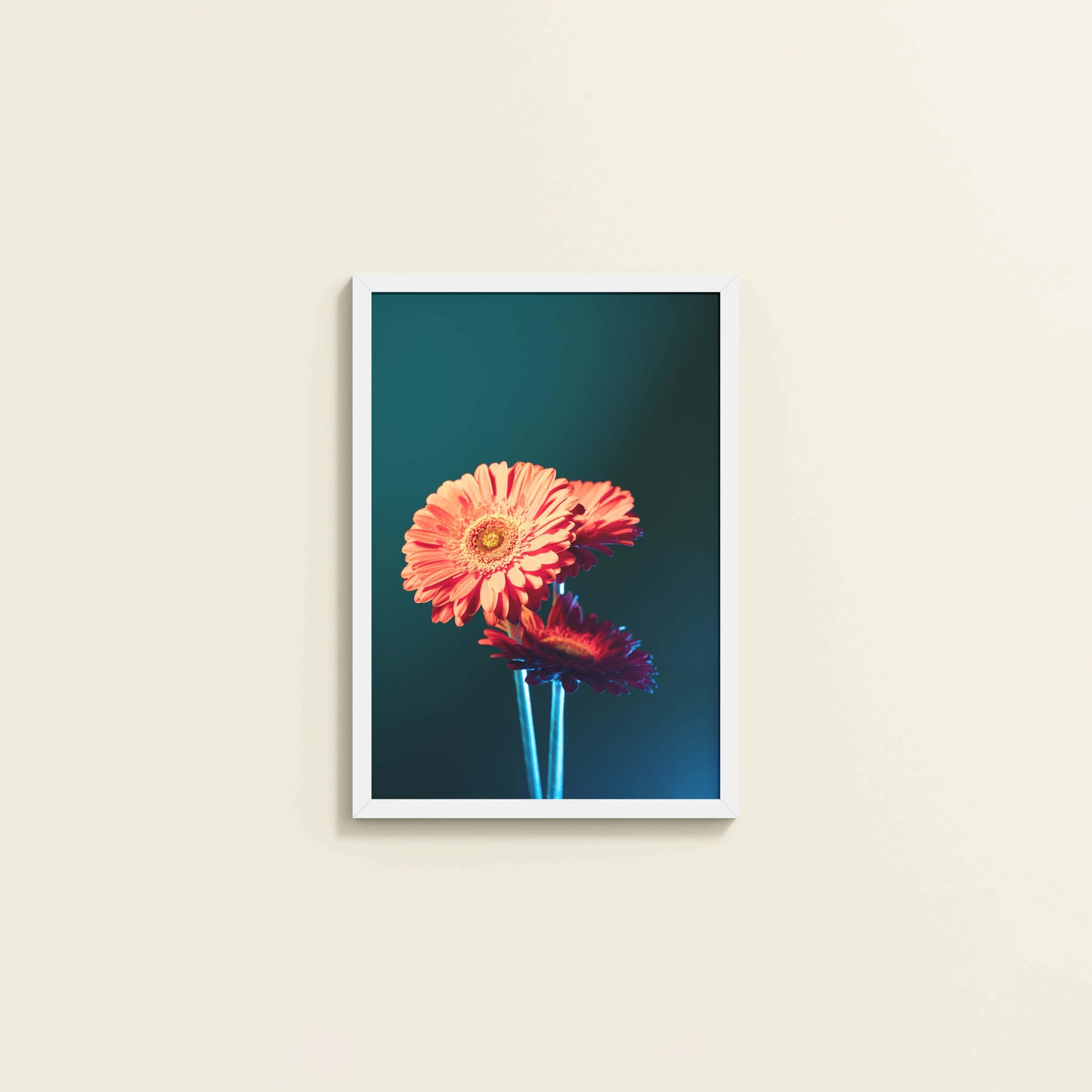 Wall View of Orange Charm – Daisy Flower Photo Frame Decor in White Color Frame