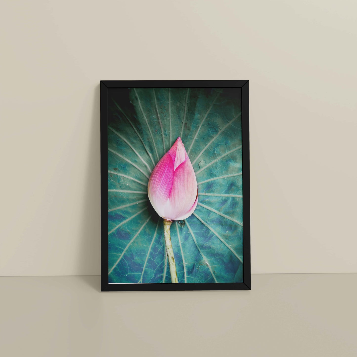 Floor View of Sacred Lotus – Symbol of Purity and Peace Wall Art in Black Color Frame