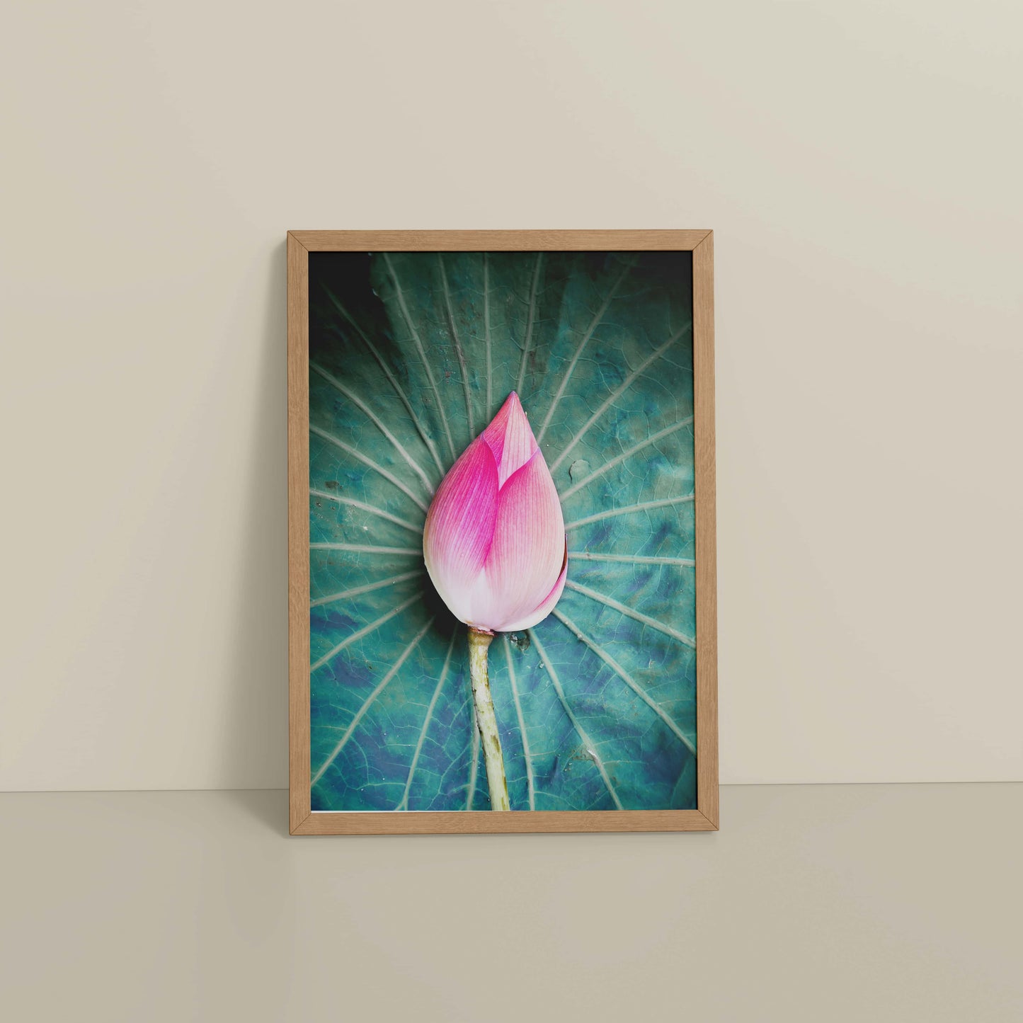 Floor View of Sacred Lotus – Symbol of Purity and Peace Wall Art in Natrual Color Frame