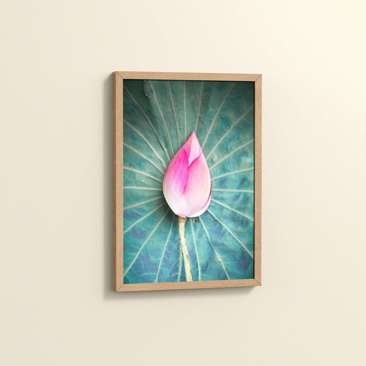 Side View of Sacred Lotus – Symbol of Purity and Peace Wall Art in Natrual Color Frame