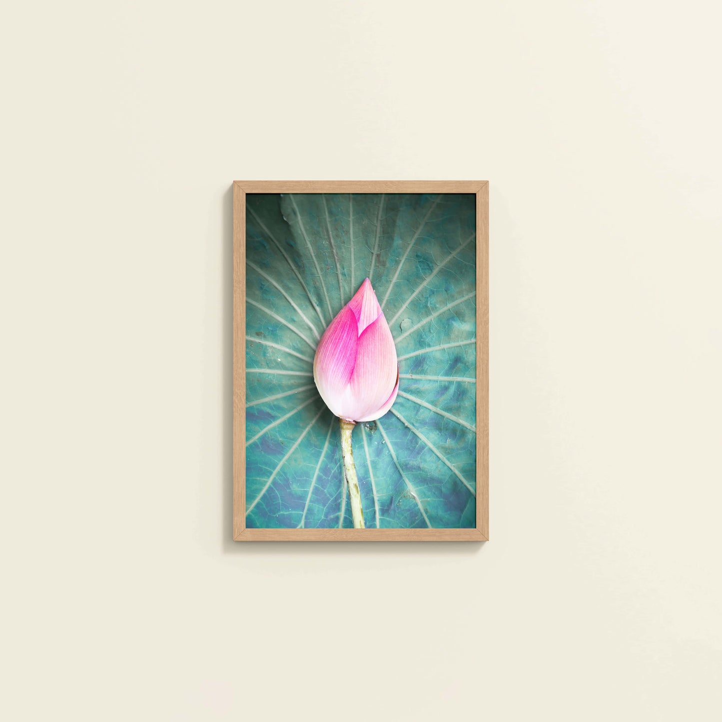 Wall View of Sacred Lotus – Symbol of Purity and Peace Wall Art in Natrual Color Frame