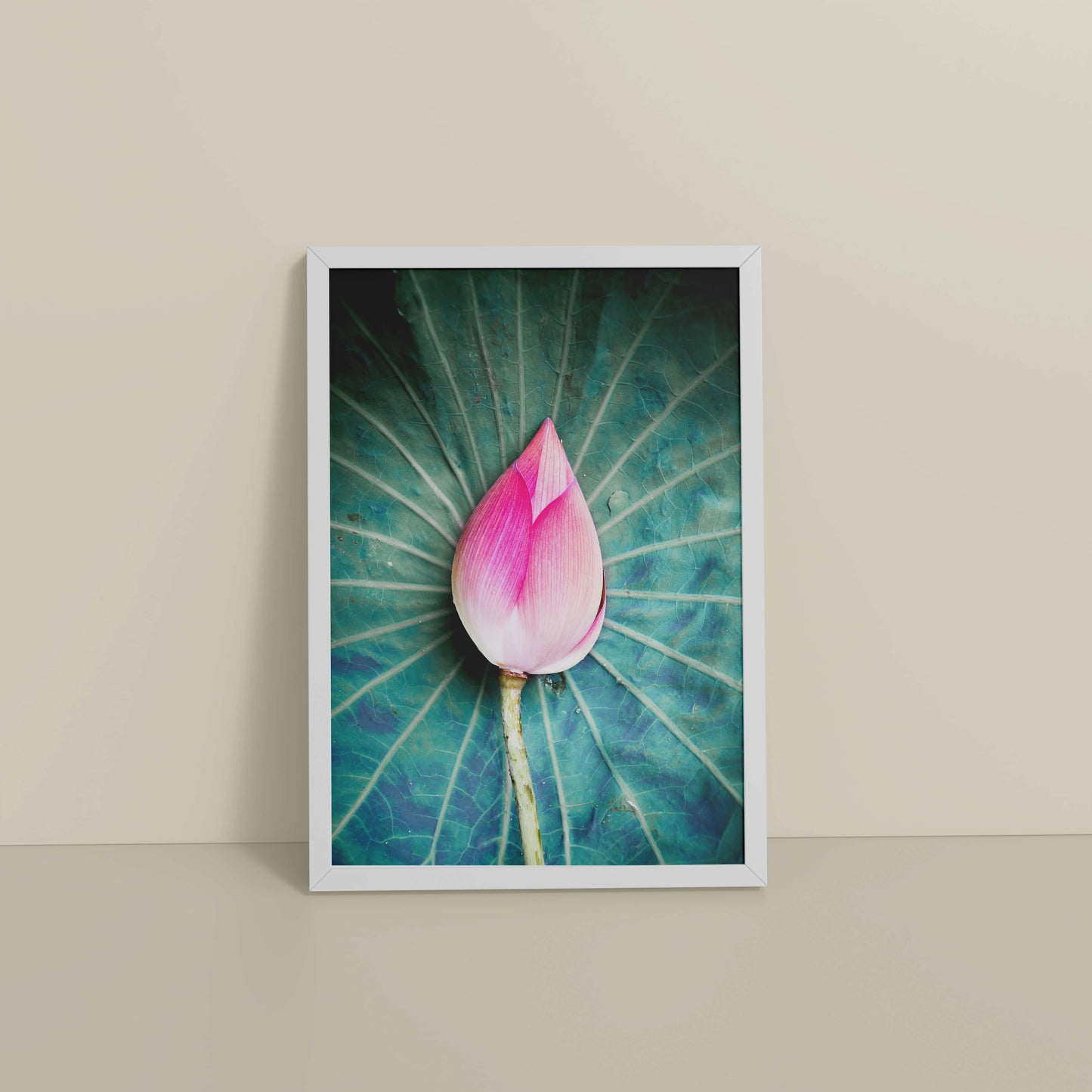 Floor View of Sacred Lotus – Symbol of Purity and Peace Wall Art in White Color Frame