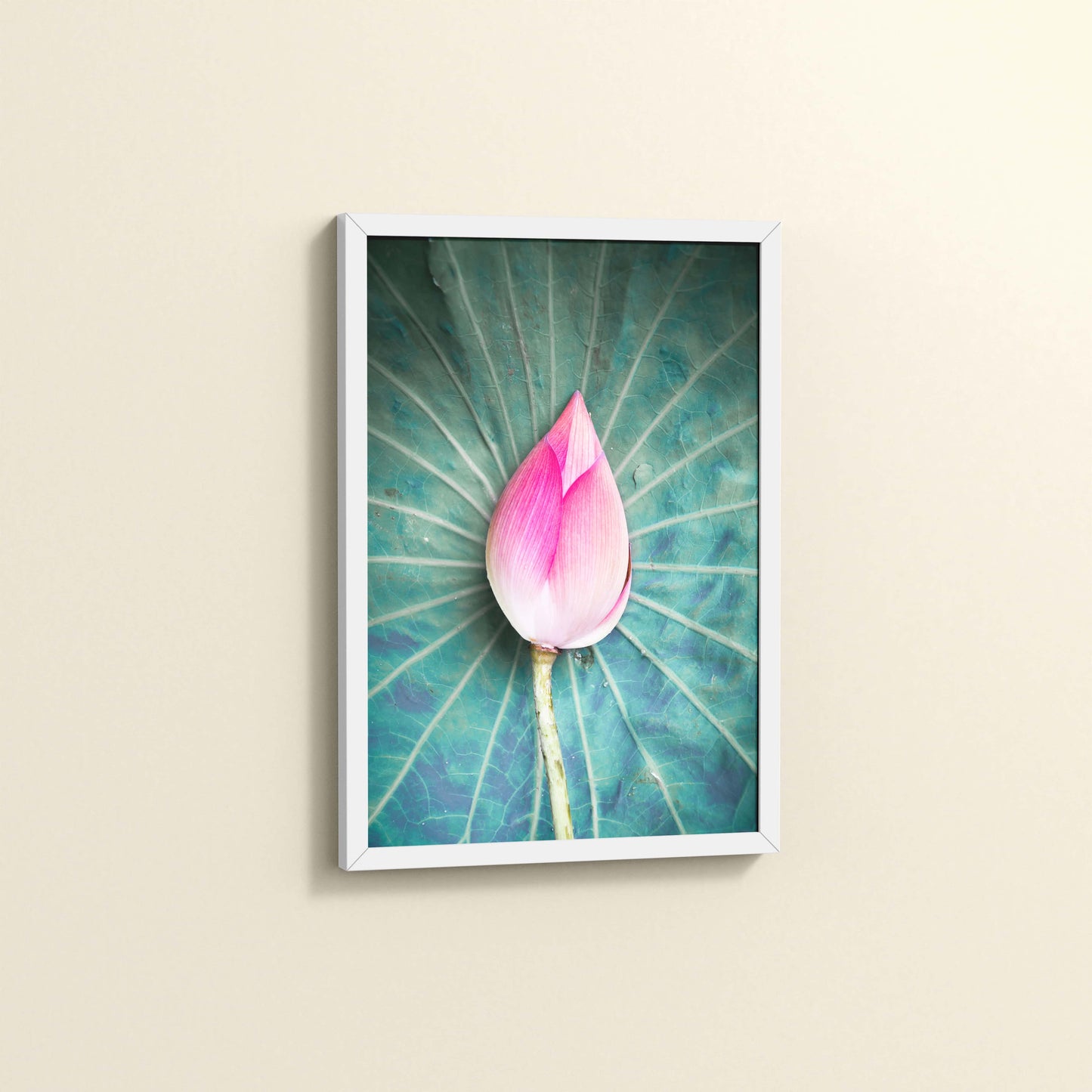 Side View of Sacred Lotus – Symbol of Purity and Peace Wall Art in White Color Frame