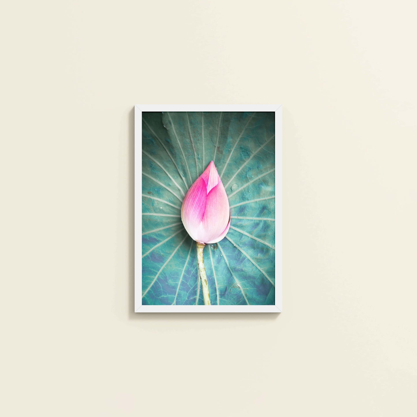 Wall View of Sacred Lotus – Symbol of Purity and Peace Wall Art in White Color Frame