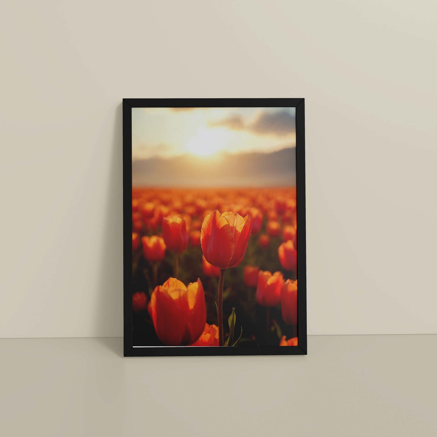 Floor View of Tulip Flowers Fields with Sunlit in Wall Art Frame in Black Color Frame