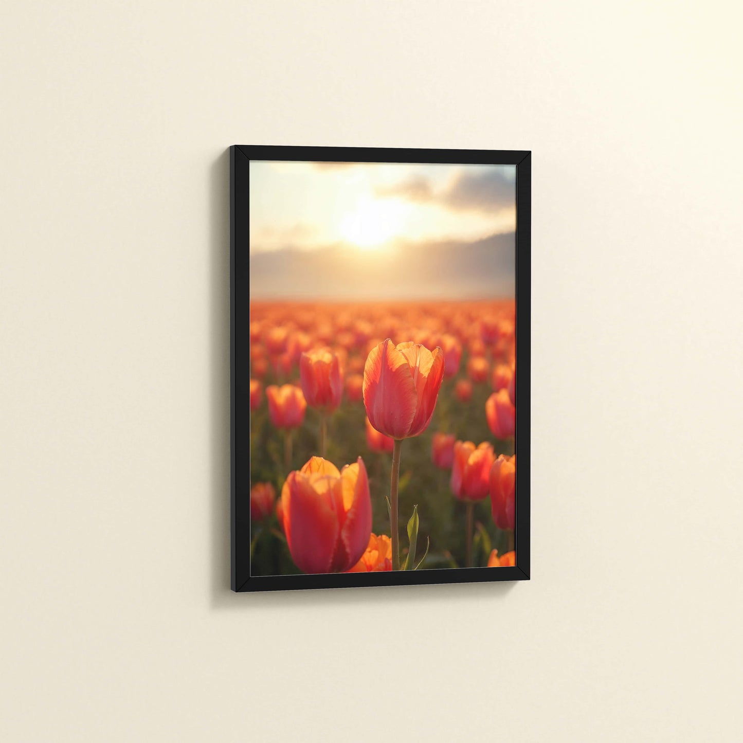 Side View of Tulip Flowers Fields with Sunlit in Wall Art Frame in Black Color Frame
