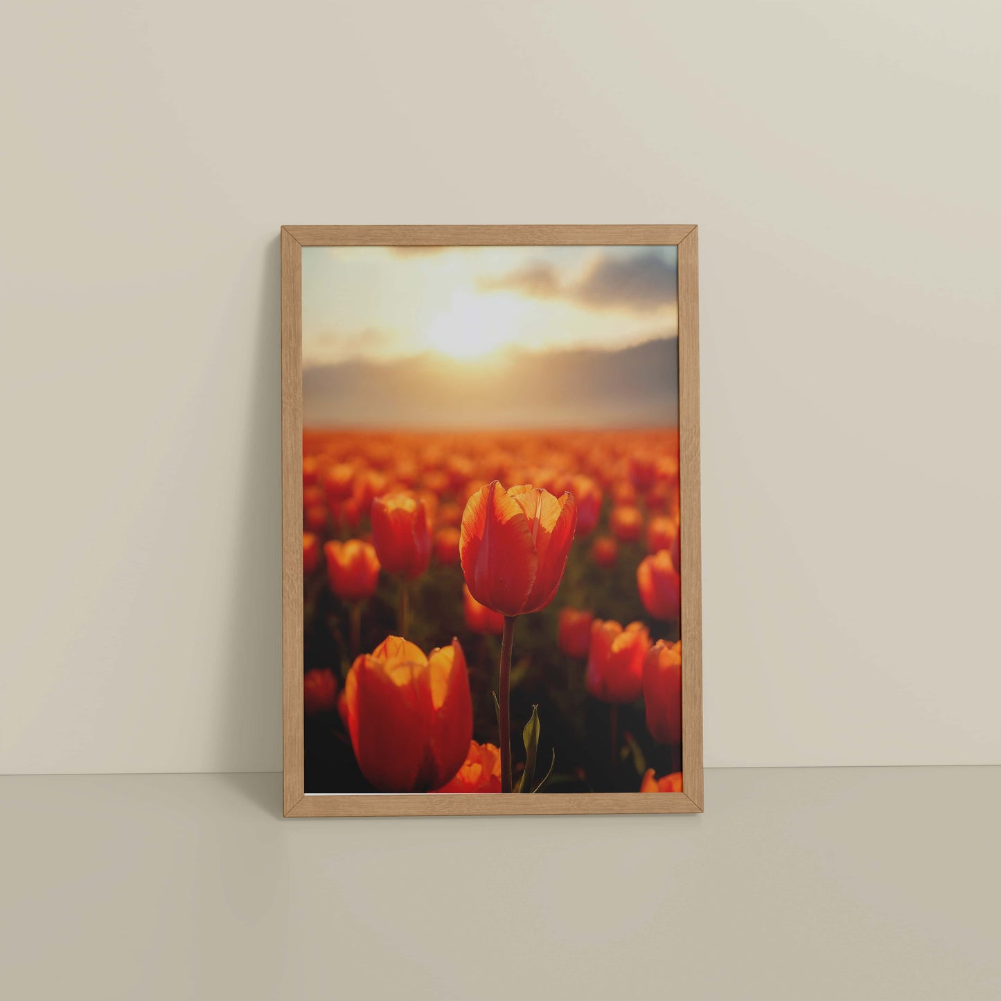 Floor View of Tulip Flowers Fields with Sunlit in Wall Art Frame in Natrual Color Frame