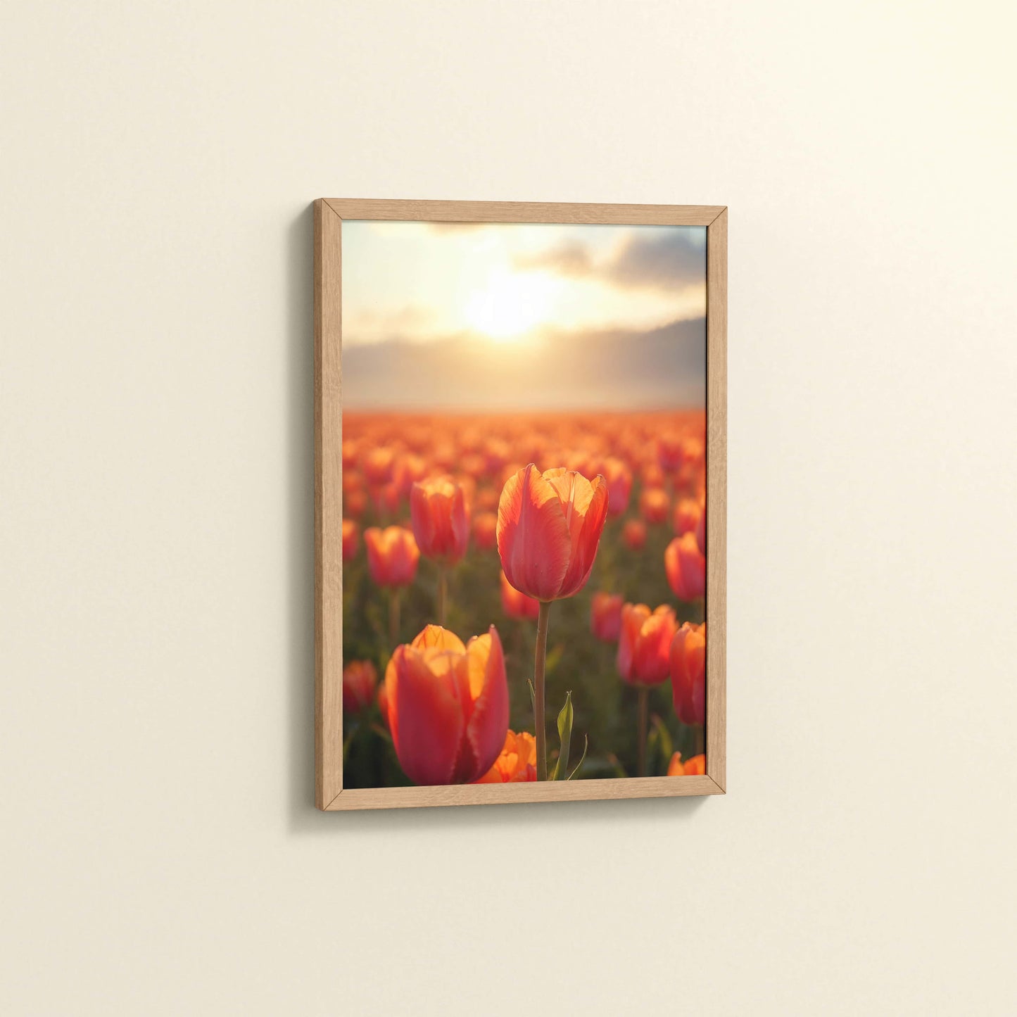 Side View of Tulip Flowers Fields with Sunlit in Wall Art Frame in Natrual Color Frame