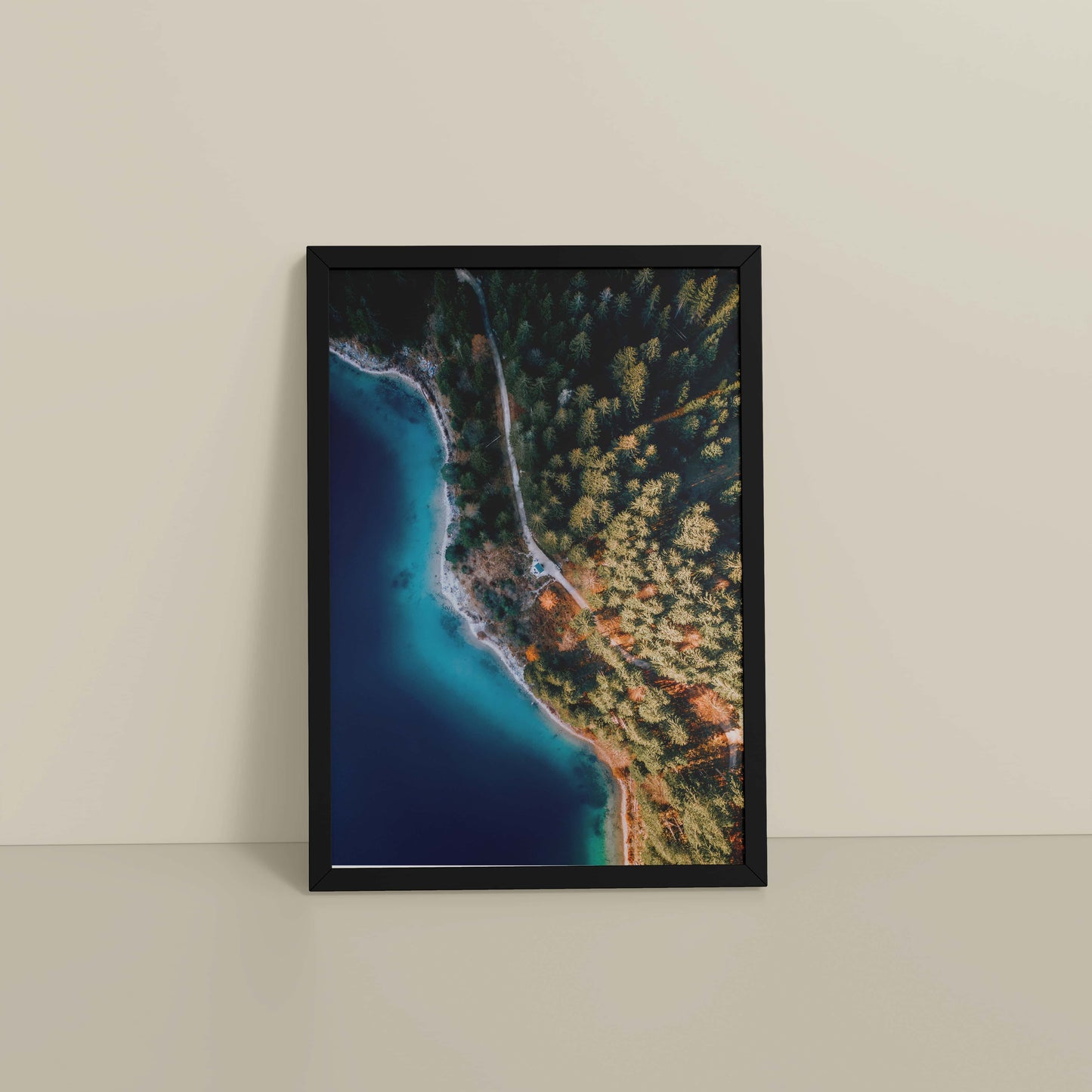 Floor View of Coastal Trees View – Landscape Wall Art Photo Frame in Black Color Frame