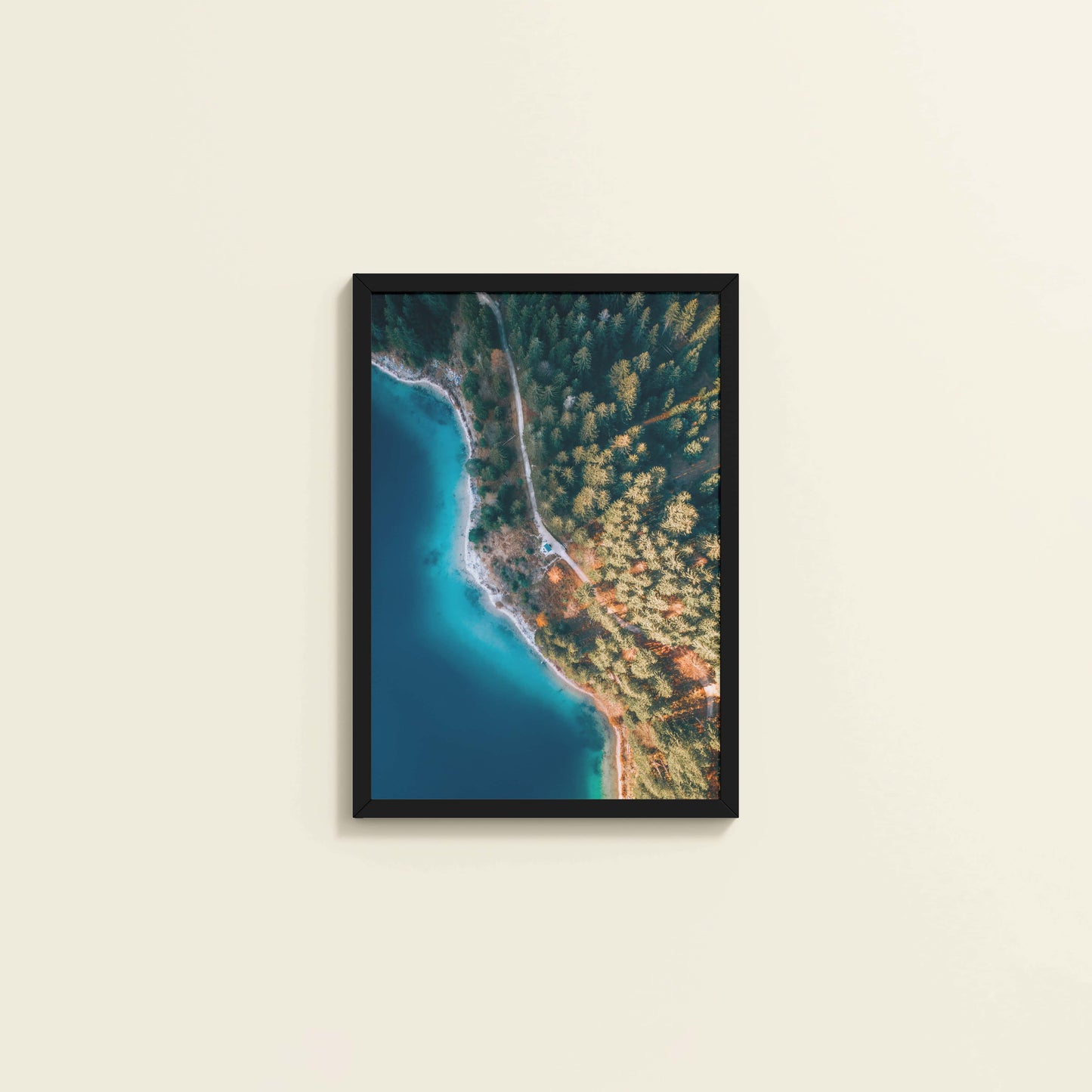 Wall View of Coastal Trees View – Landscape Wall Art Photo Frame in Black Color Frame