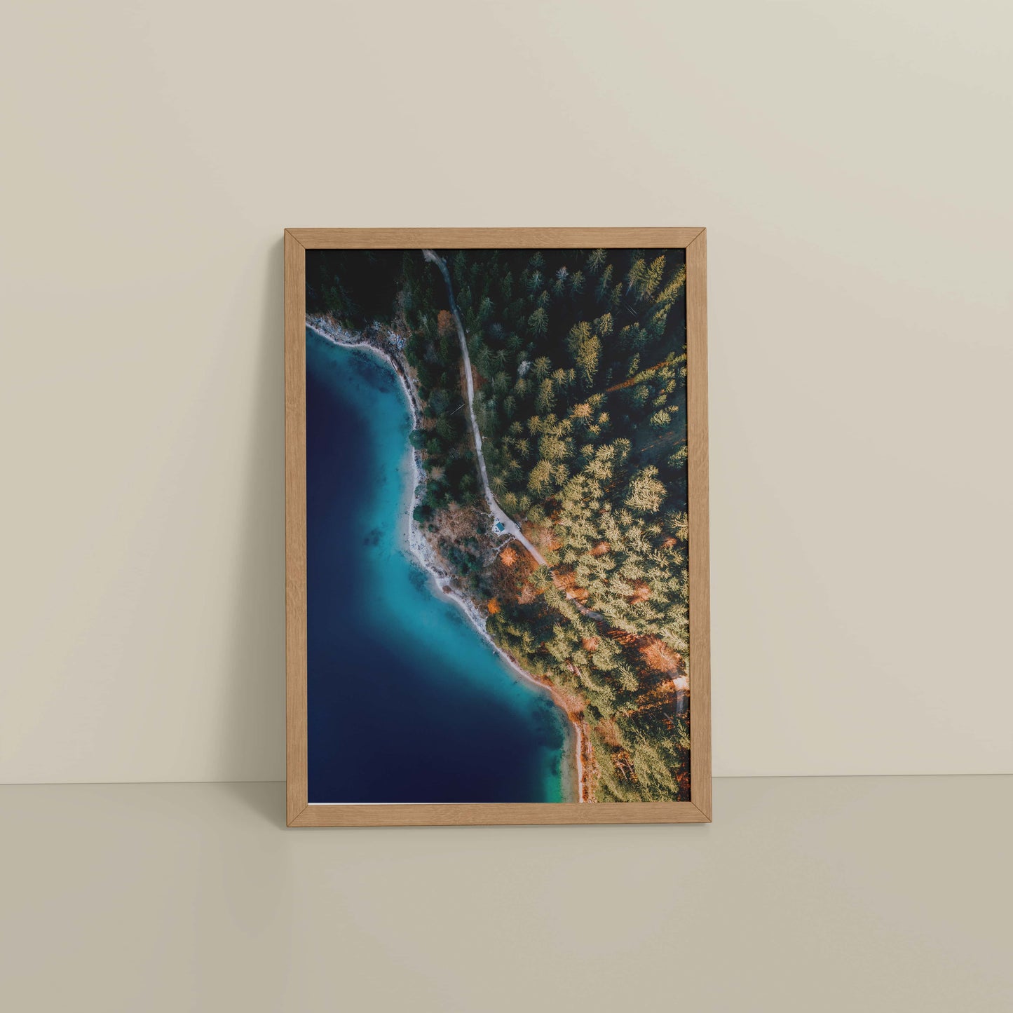 Floor View of Coastal Trees View – Landscape Wall Art Photo Frame in Natrual Color Frame