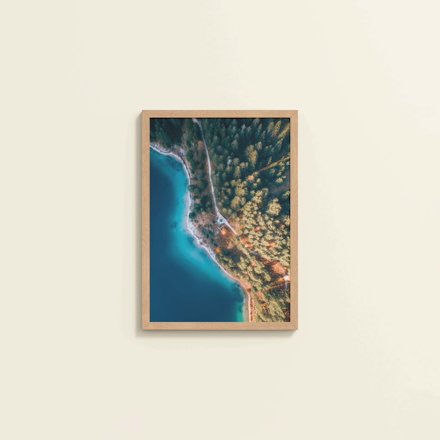 Wall View of Coastal Trees View – Landscape Wall Art Photo Frame in Natrual Color Frame