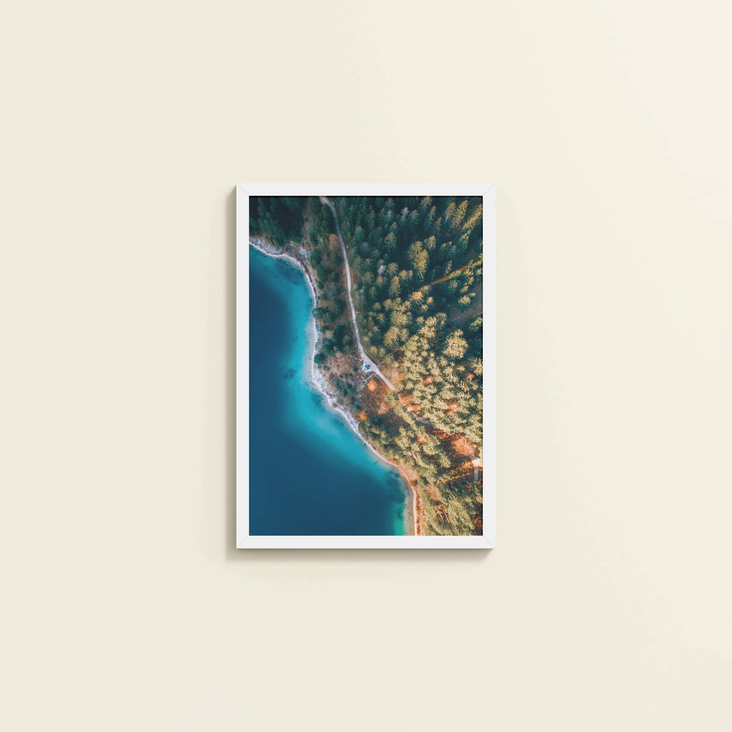 Wall View of Coastal Trees View – Landscape Wall Art Photo Frame in White Color Frame