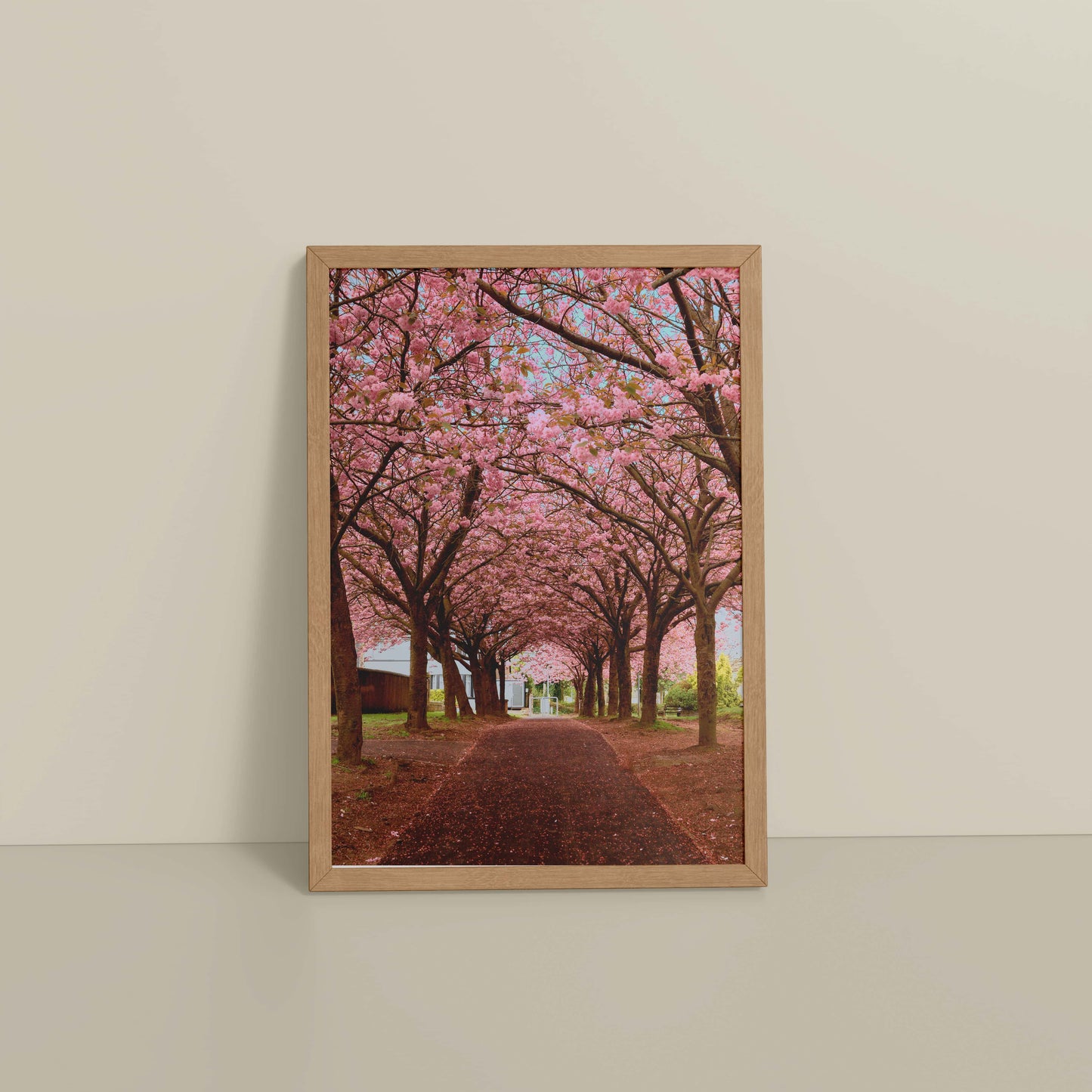 Floor View of Blossom on Path – Pink Flower Trees in Wall Art Frame in Natrual Color Frame