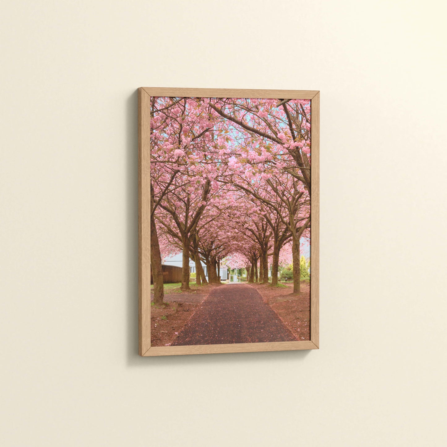 Side View of Blossom on Path – Pink Flower Trees in Wall Art Frame in Natrual Color Frame