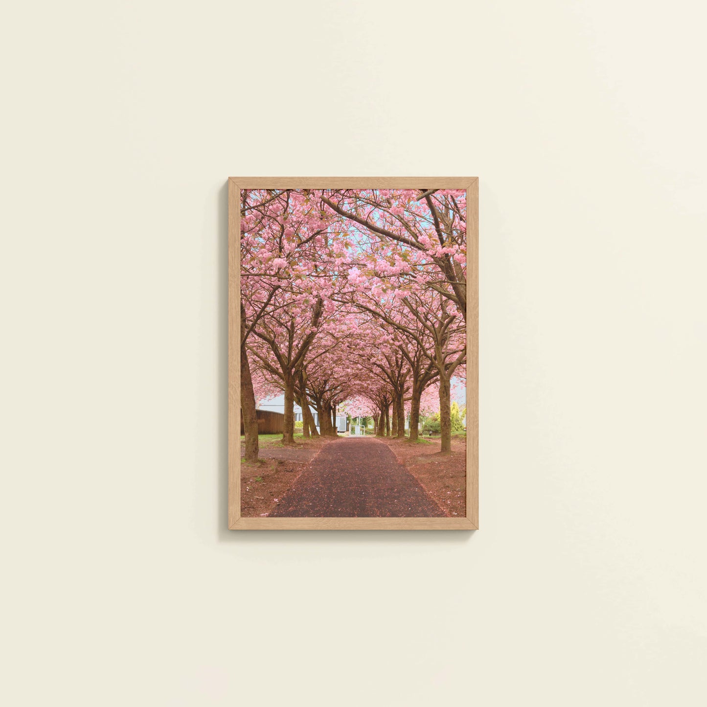 Wall View of Blossom on Path – Pink Flower Trees in Wall Art Frame in Natrual Color Frame