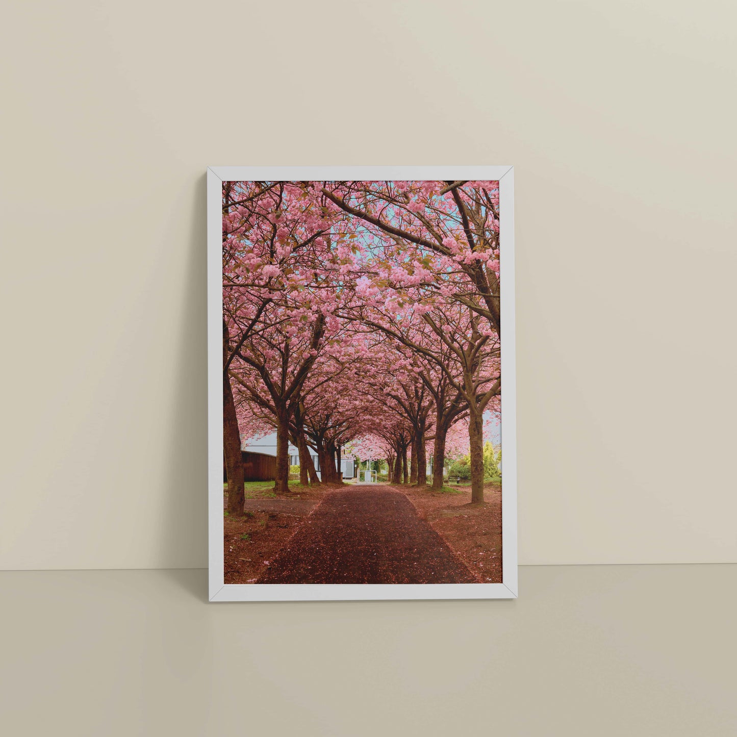 Floor View of Blossom on Path – Pink Flower Trees in Wall Art Frame in White Color Frame