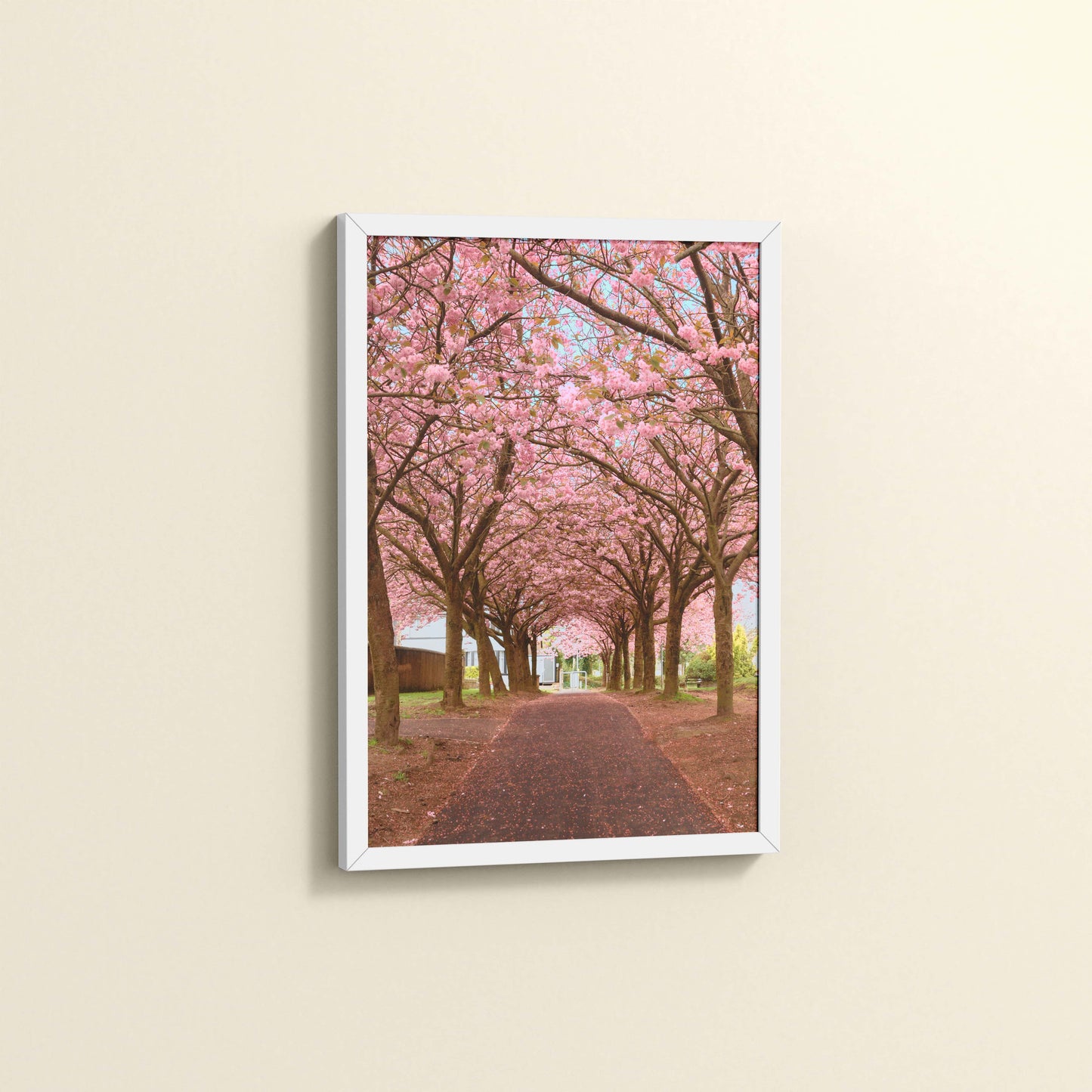 Side View of Blossom on Path – Pink Flower Trees in Wall Art Frame in White Color Frame