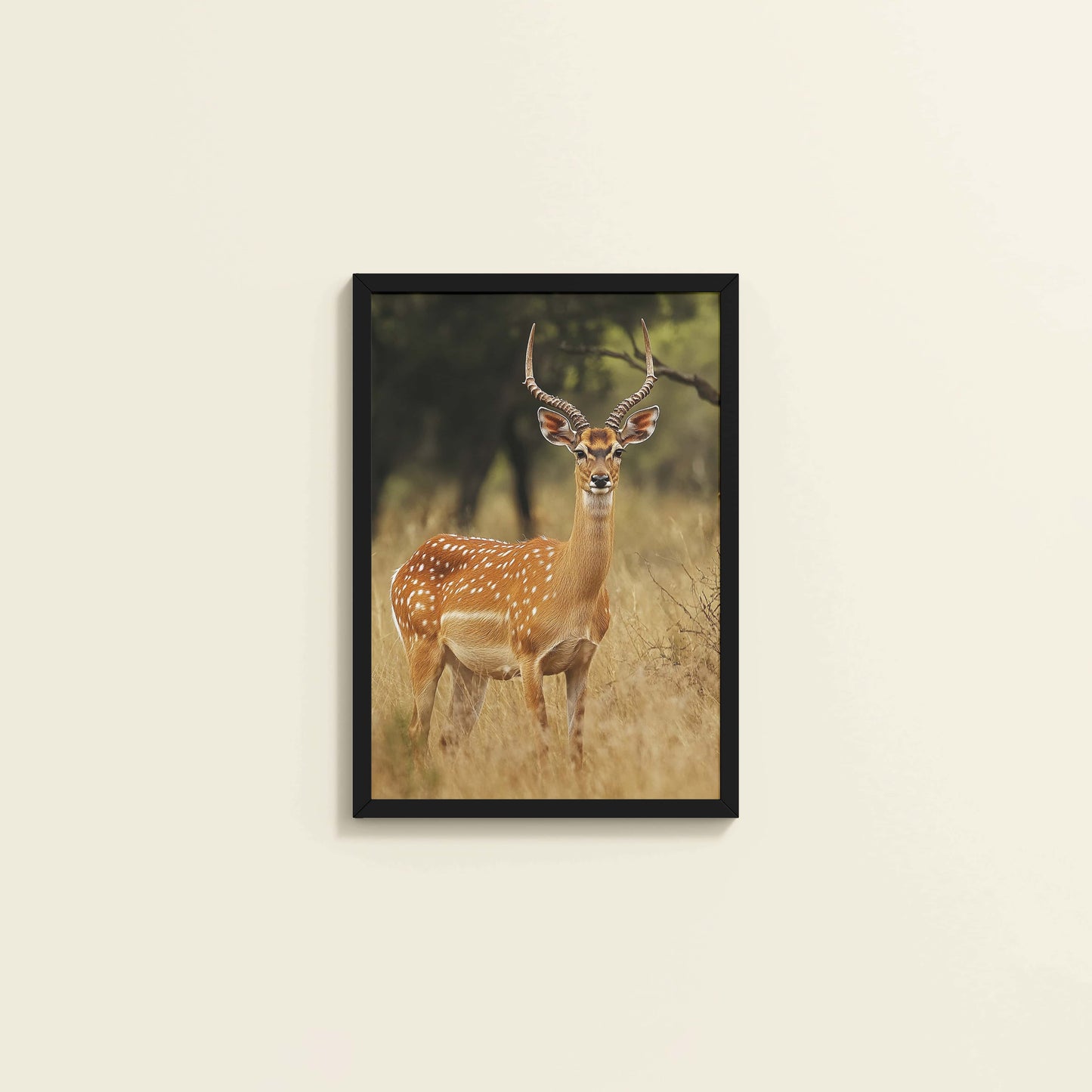 Wall View of Grace of the Wild – Deer in Wildlife Wall Photo Frame in Black Color Frame