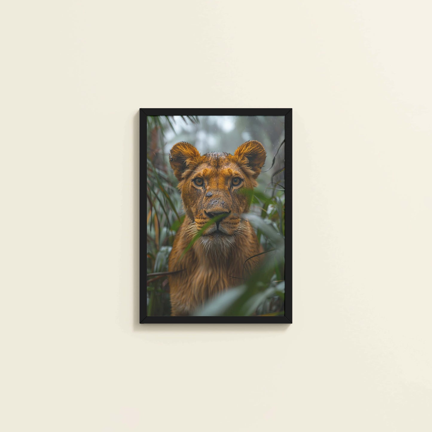 Wall View of Little King – Lion Cub in Forest Wall Art & Frame in Black Color Frame
