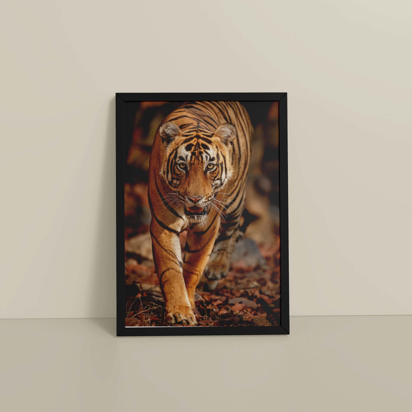 Floor View of Tiger Gaze – Fierce Jungle Wall Photo Frame in Black Color Frame