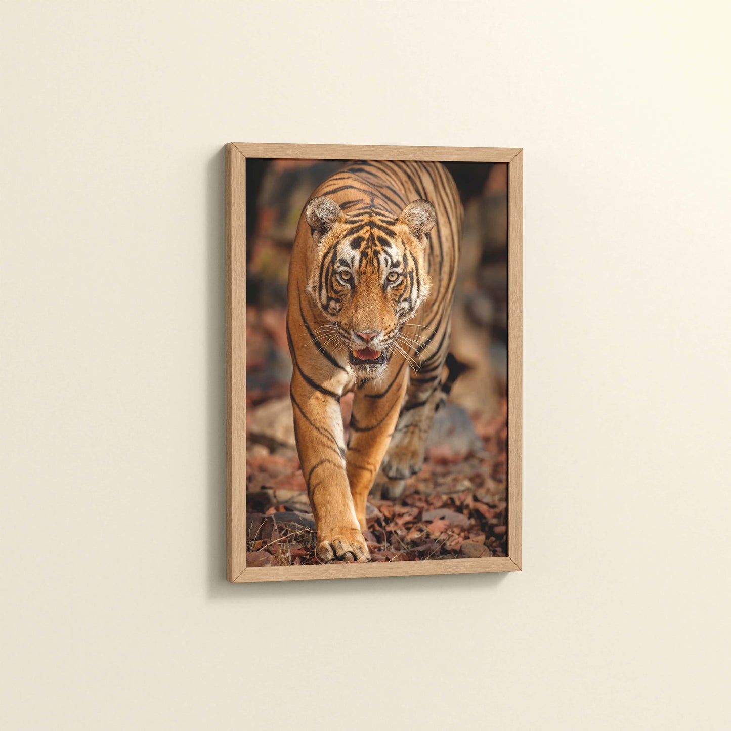 Side View of Tiger Gaze – Fierce Jungle Wall Photo Frame in Natrual Color Frame