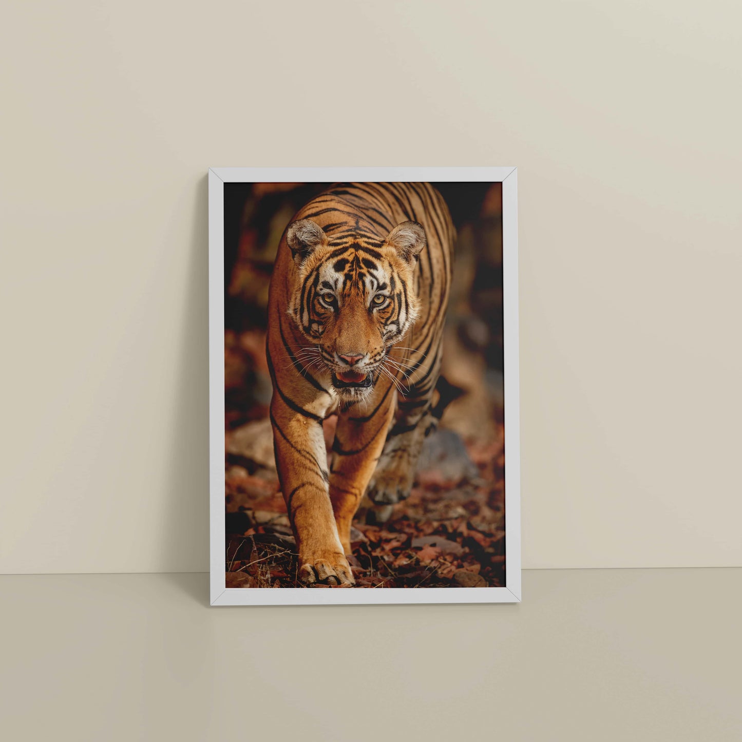 Floor View of Tiger Gaze – Fierce Jungle Wall Photo Frame in White Color Frame