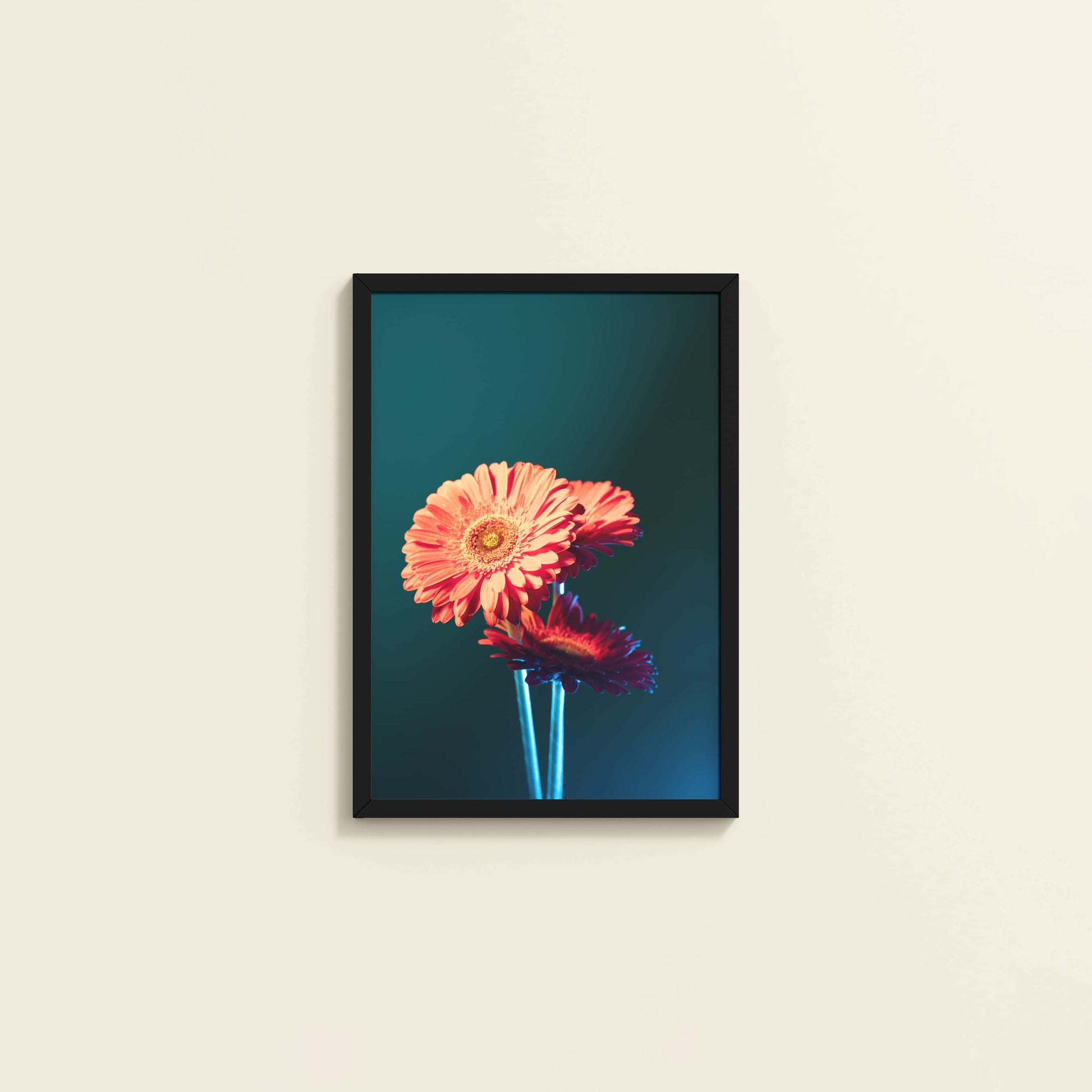 Wall View of Orange Charm – Daisy Flower Photo Frame Decor in Black Color Frame