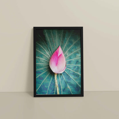 Floor View of Sacred Lotus – Symbol of Purity and Peace Wall Art in Black Color Frame