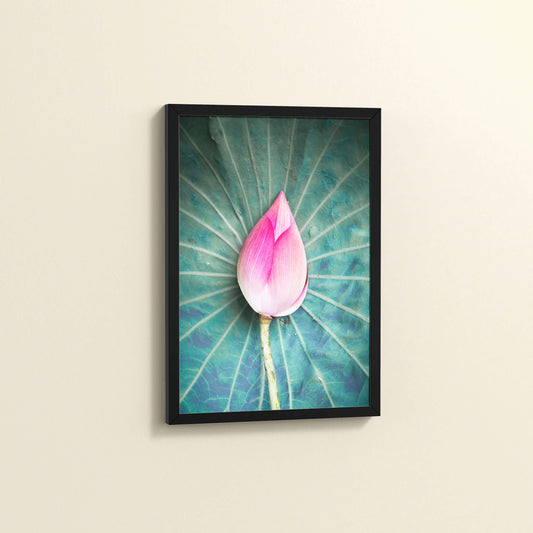 Side View of Sacred Lotus – Symbol of Purity and Peace Wall Art in Black Color Frame