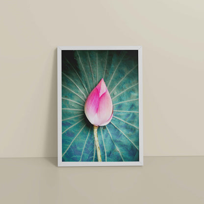 Floor View of Sacred Lotus – Symbol of Purity and Peace Wall Art in White Color Frame