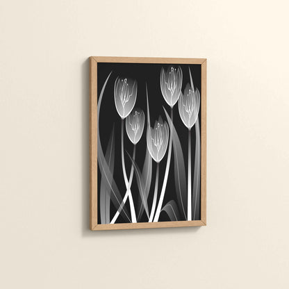Side View of Tulip Grace – Black & White Minimalist Flower Line Art in Natrual Color Frame