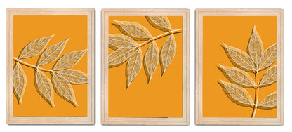 Autumn Leaves in Abstract Design – Framed & Wall Art