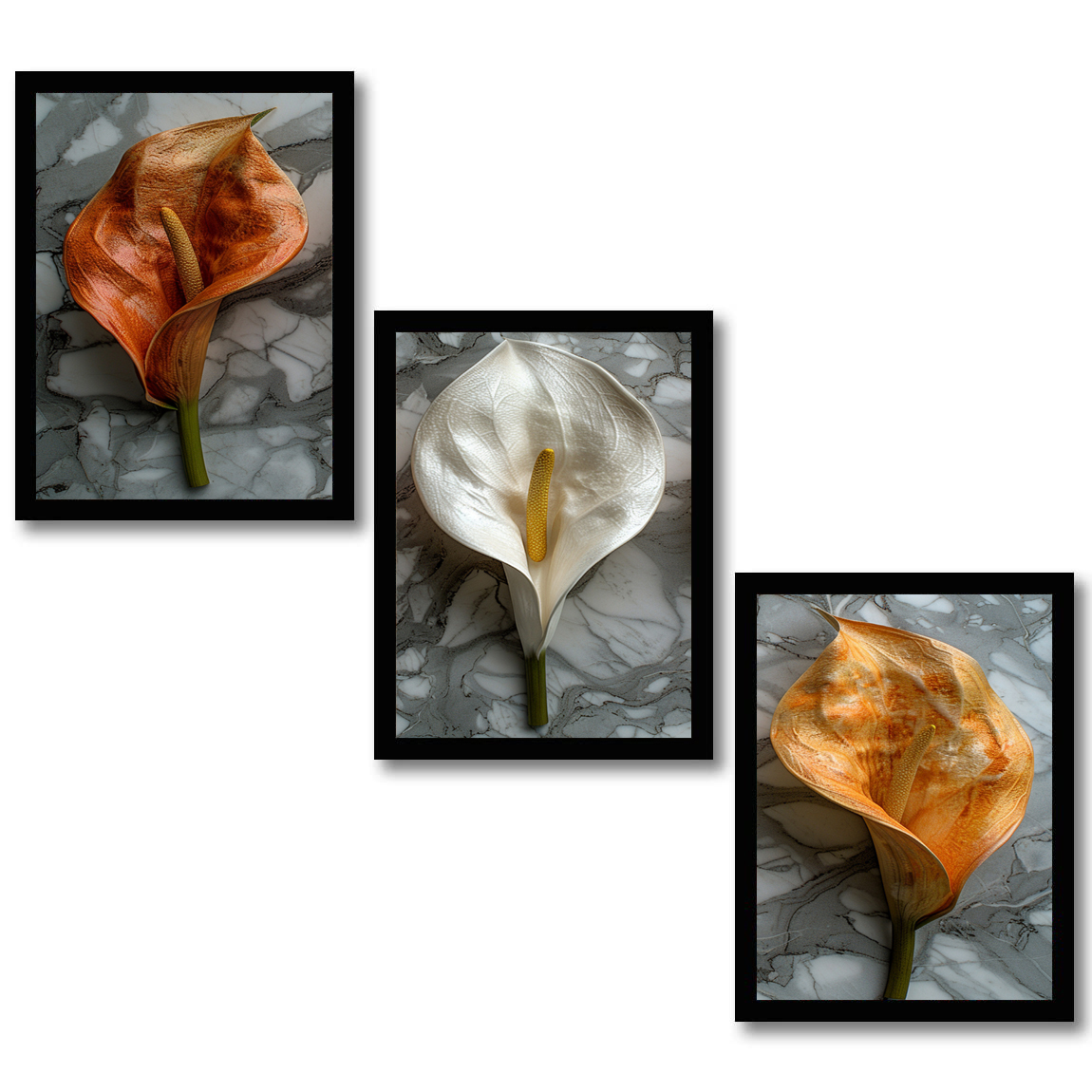 Delicate Lily Floral Painting Frames & Decorative Wall Art