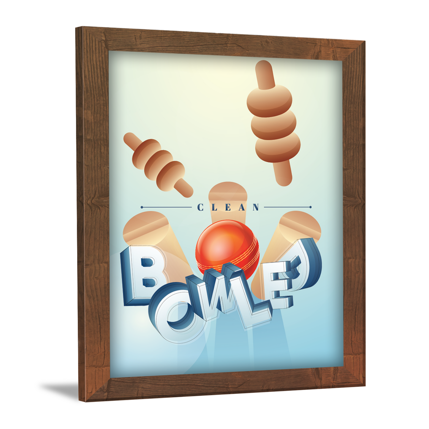Cricket in Motion – Clean Bowled 3D Illustration Frame