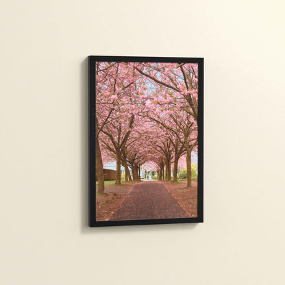 Side View of Blossom on Path – Pink Flower Trees in Wall Art Frame in Black Color Frame