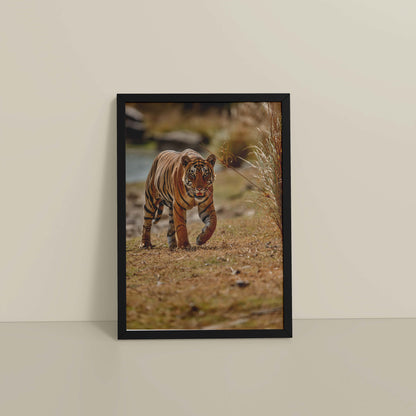 Floor View of Wild Majesty – Bengal Tiger in Forest Wall Decor in Black Color Frame