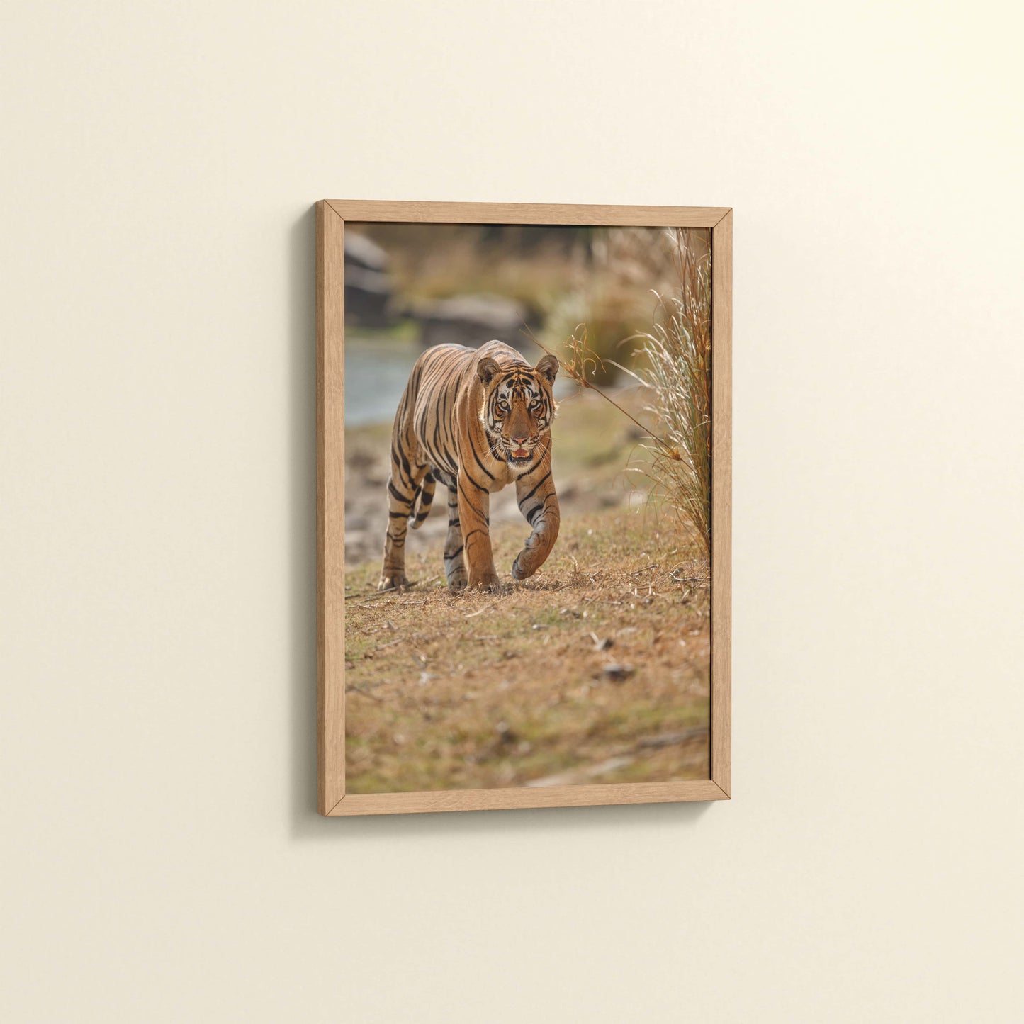 Side View of Wild Majesty – Bengal Tiger in Forest Wall Decor in Natrual Color Frame