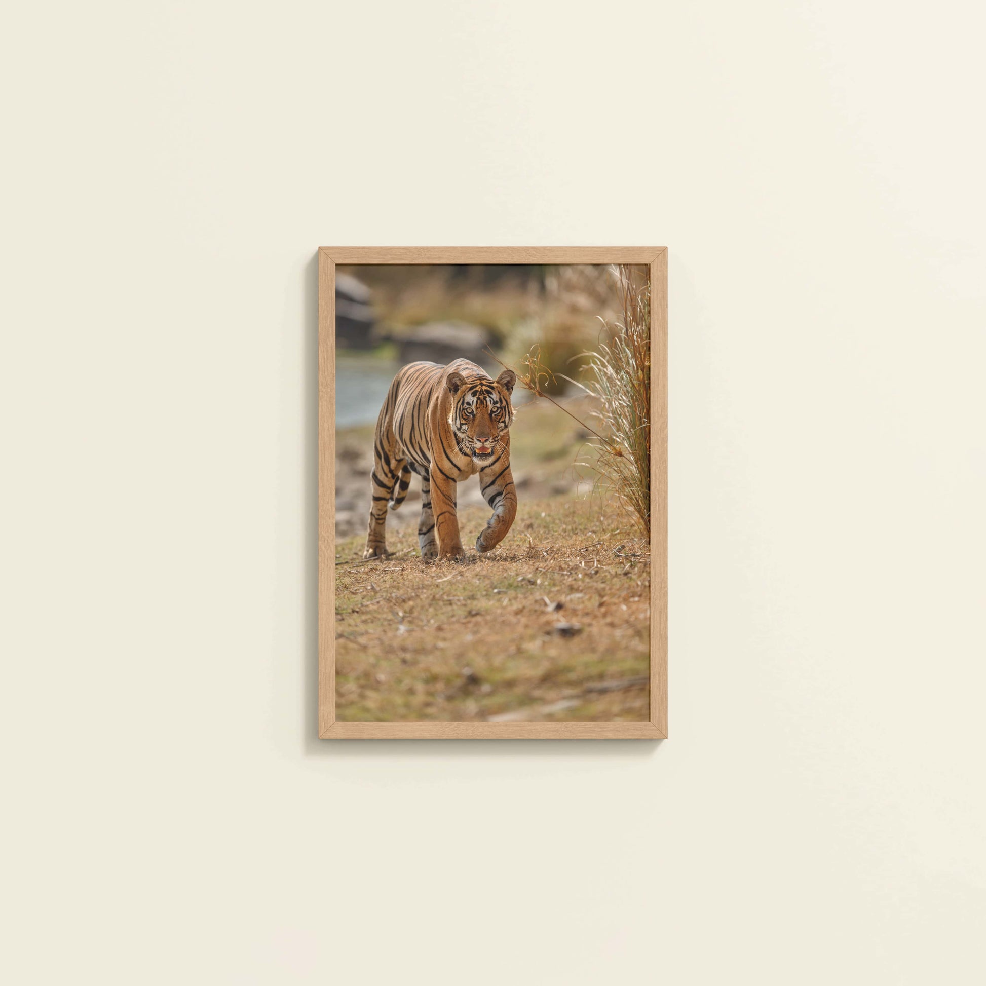 Wall View of Wild Majesty – Bengal Tiger in Forest Wall Decor in Natrual Color Frame