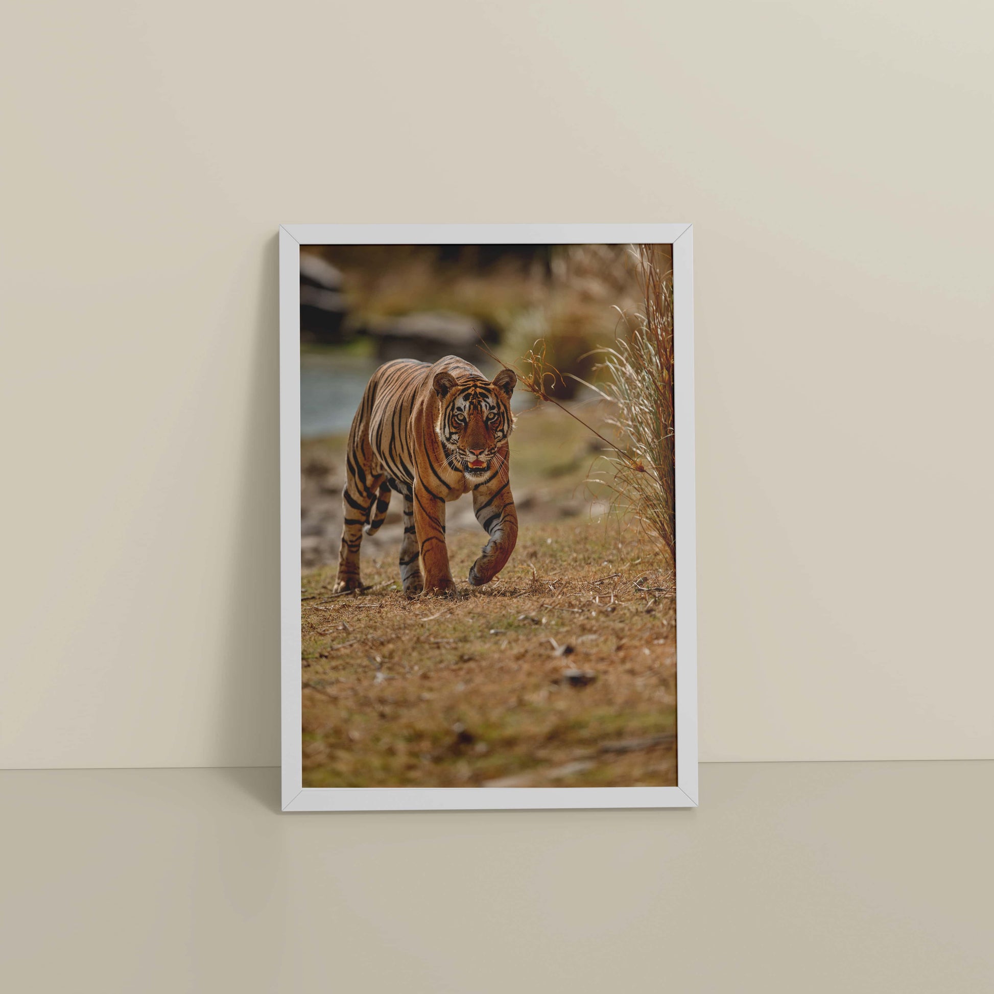 Floor View of Wild Majesty – Bengal Tiger in Forest Wall Decor in White Color Frame