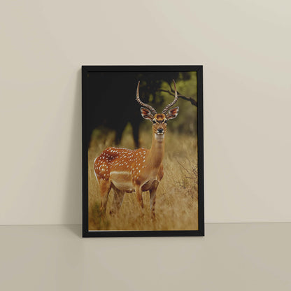Floor View of Grace of the Wild – Deer in Wildlife Wall Photo Frame in Black Color Frame