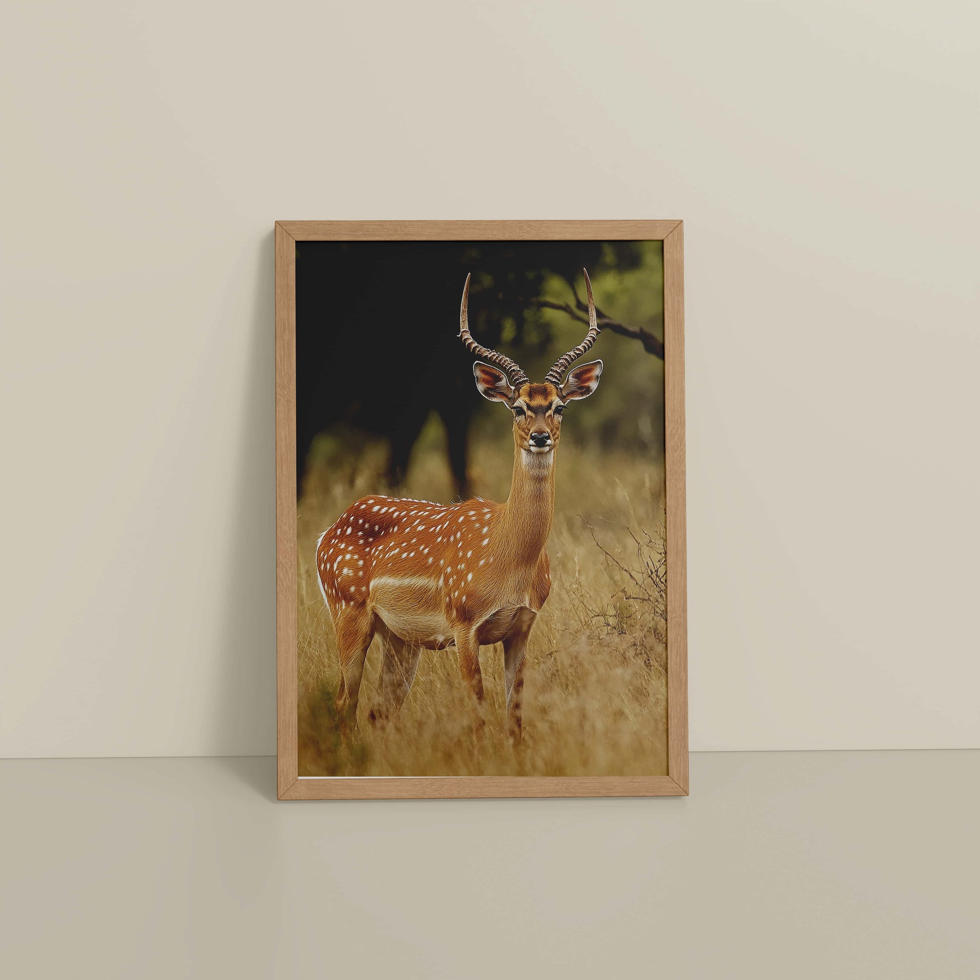 Floor View of Grace of the Wild – Deer in Wildlife Wall Photo Frame in Natrual Color Frame