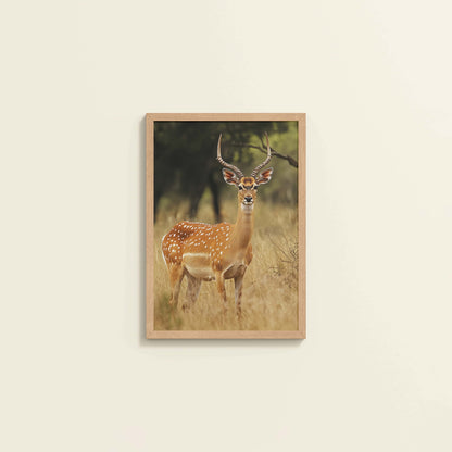 Wall View of Grace of the Wild – Deer in Wildlife Wall Photo Frame in Natrual Color Frame