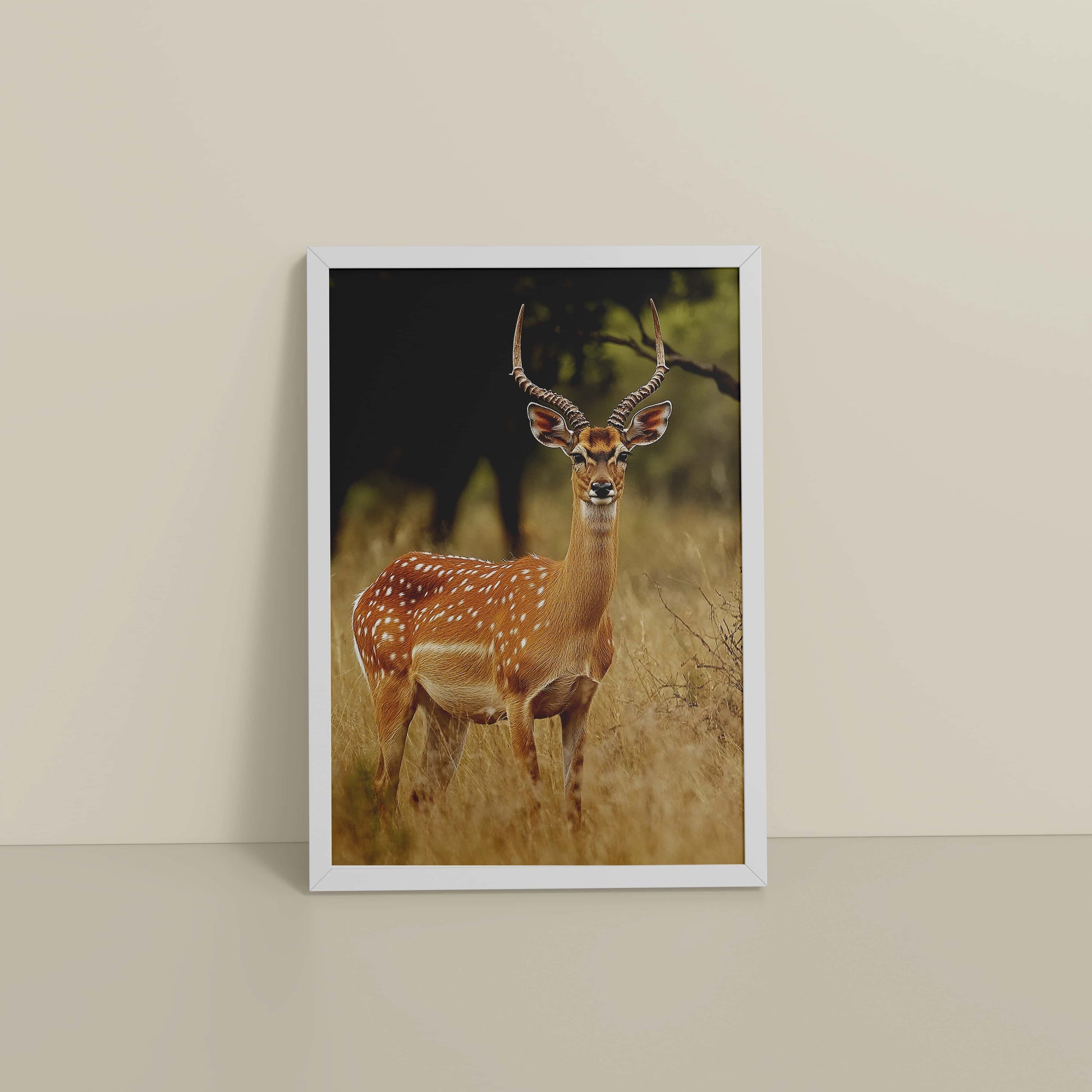 Floor View of Grace of the Wild – Deer in Wildlife Wall Photo Frame in White Color Frame