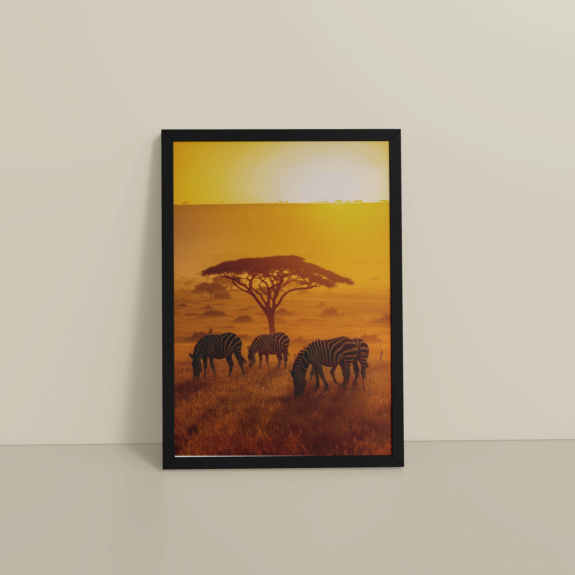 Floor View of Zebras in Safari – Wildlife Wall Art Decor in Black Color Frame