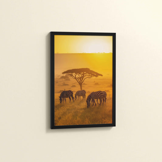 Side View of Zebras in Safari – Wildlife Wall Art Decor in Black Color Frame