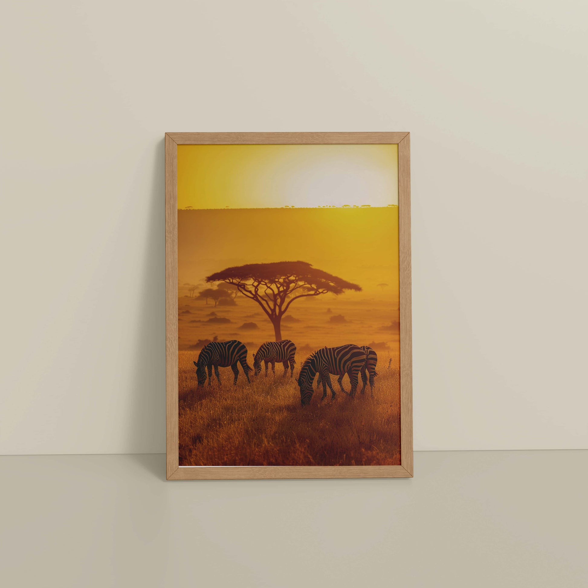 Floor View of Zebras in Safari – Wildlife Wall Art Decor in Natrual Color Frame