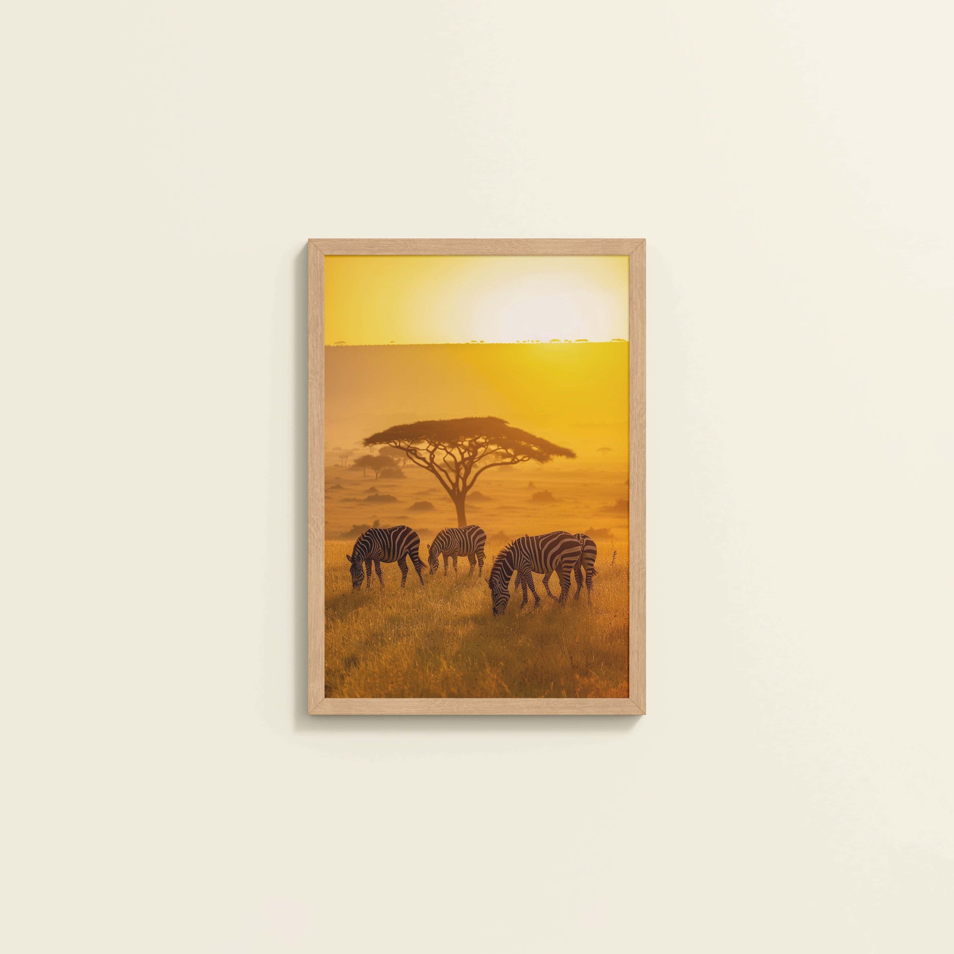 Wall View of Zebras in Safari – Wildlife Wall Art Decor in Natrual Color Frame