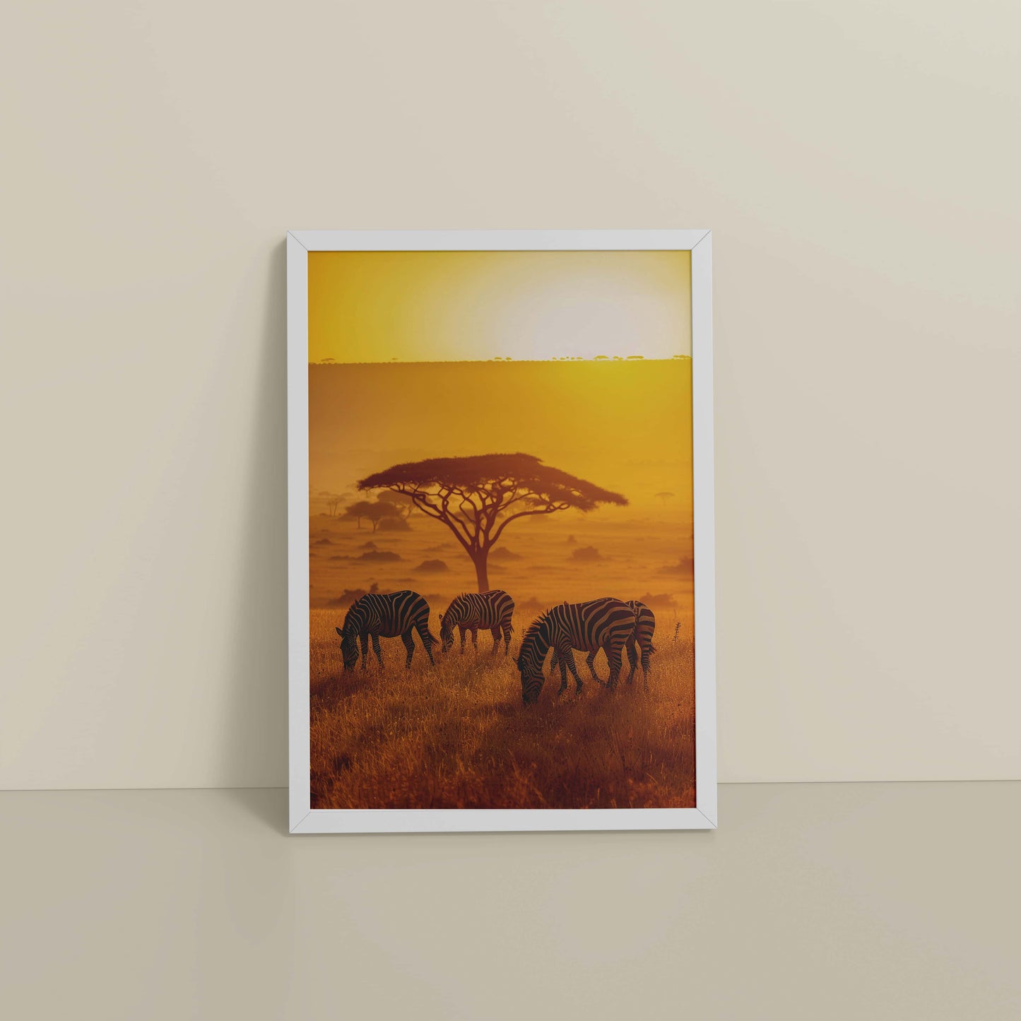Floor View of Zebras in Safari – Wildlife Wall Art Decor in White Color Frame